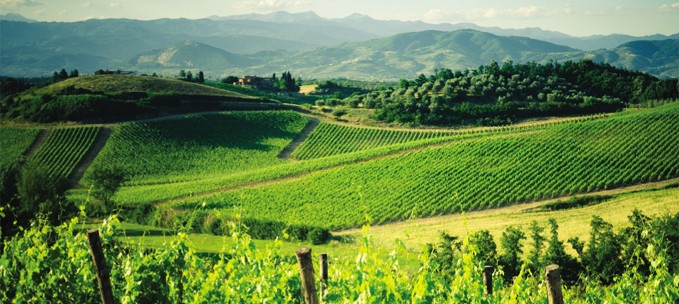 Chianti Hills: Siena to Florence trip